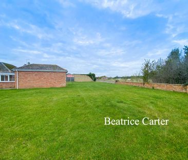 2 bedroom detached bungalow to rent - Photo 3