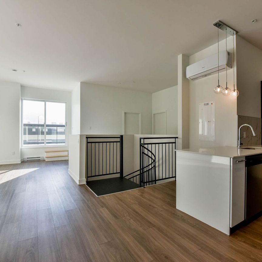 9675 Av. Papineau - Photo 1