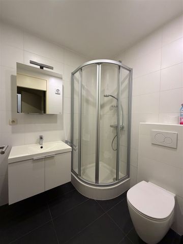 Appartement te huur in Leuven met 1 slaapkamer - foto 4