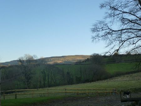 Gwynfe, Llangadog, Carmarthenshire. - Photo 4