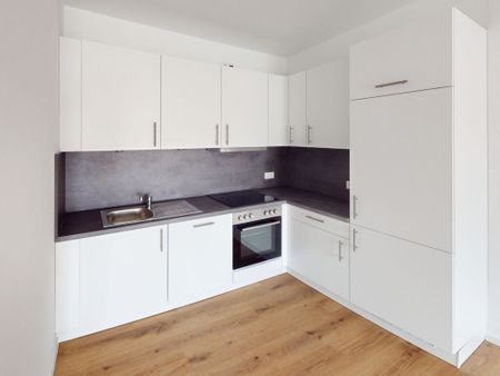 Moderne 3-Zimmer-Erdgeschosswohnung für junge Familien oder Paare - Photo 4