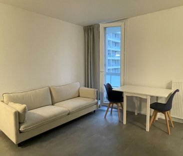 Location Appartement 1 pièce 29m² - Photo 6