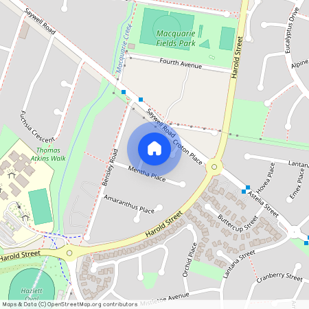 5A Ficus Place, NSW 2564, Macquarie Fields