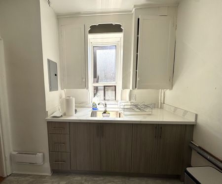 For Lease - 555 Danforth Avenue Unit# Apt #1, Toronto, Ontario - Photo 5