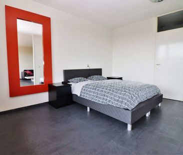 Zuiderterras - Photo 5