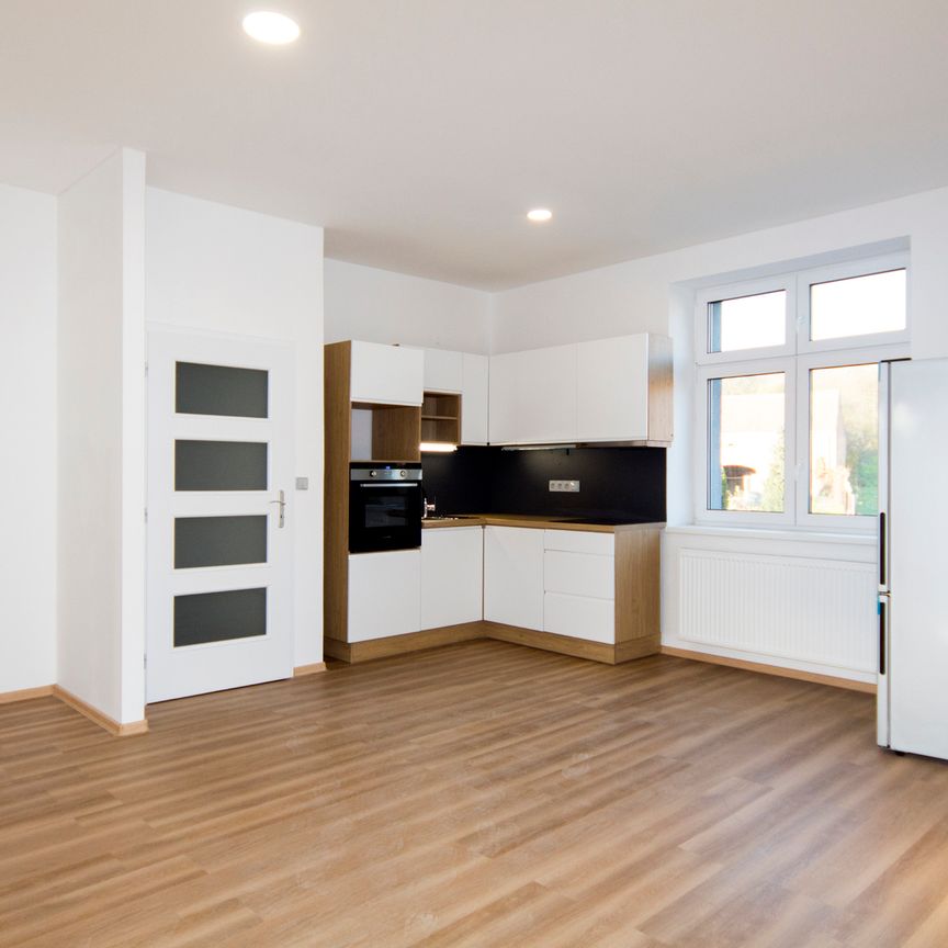 Pronájem bytu 2+kk v osobním vlastnictví 49 m², Ústí nad Labem - Photo 1