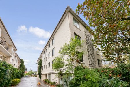 The Perfect Little Package - Photo 2