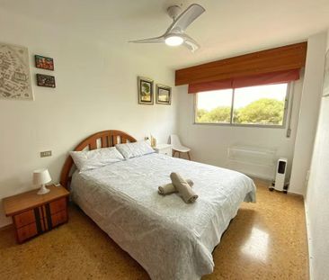 Avenida Gola del Puchol, Valencia, Valencian Community 46012 - Photo 3