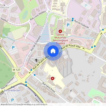 578 Rue de Puech Villa 34090 Montpellier