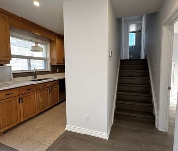 For Lease - 261 Essex Avenue, Richmond Hill, Ontario - Photo 5