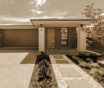 41 North Street, Henley Beach SA 5022 - House For Rent | Domain - Photo 4