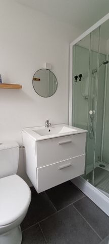 Location Appartement 1 pièce 20m² - Photo 5