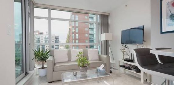 Pet Friendly - 1 Bed 1 den 1 bath Downtown Stanley Park - Photo 2