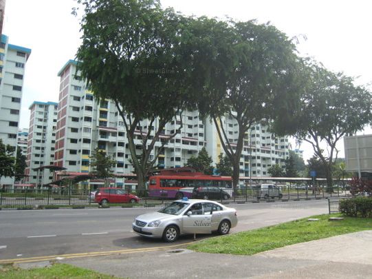 Blk 324 Ang Mo Kio 31 (Ang Mo Kio), HDB 4 Rooms - For Rent - Photo 1