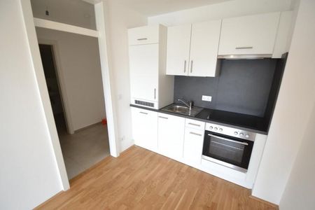 Puntigam – Brauquartier – 48m² inkl. Loggia – 2 Zimmer Wohnung – Westausrichtung - Foto 3