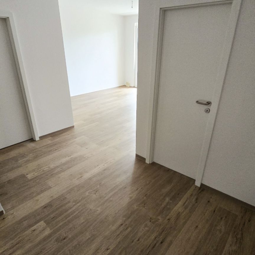 Wohnung, 3 Zimmer (56,39 m²) - Foto 1