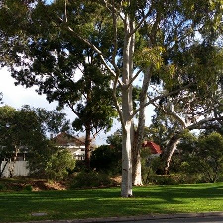2-bedroom shared house / townhouse, Rodda Road - Photo 1