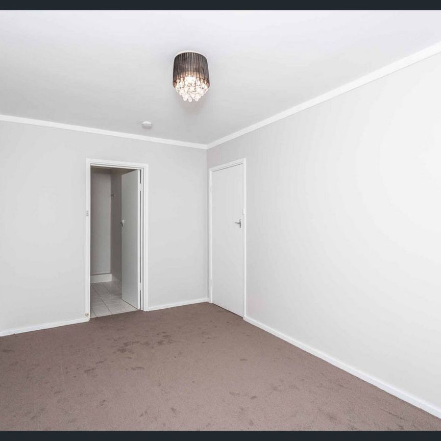 Freshly updated, in Vibrant Victoria Park - Photo 1