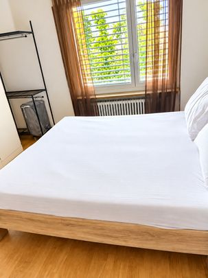 ✨ Fully Furnished 2.5-Room Apartment in Quiet Dübendorf - Foto 1