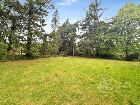 Coley Avenue, Woking, Surrey, GU22 7RG - Photo 5