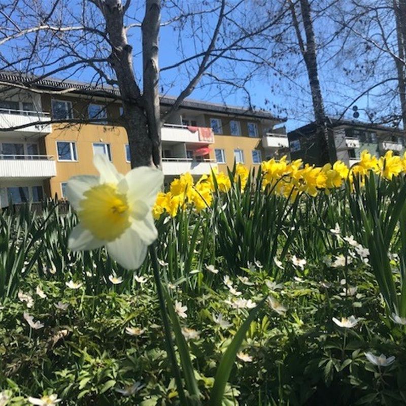 Karlslättsv 2 C - Foto 1