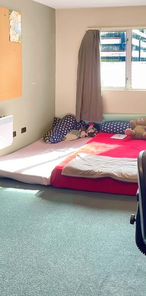 Studio Apartment in the Heart of Wellington! - Photo 1