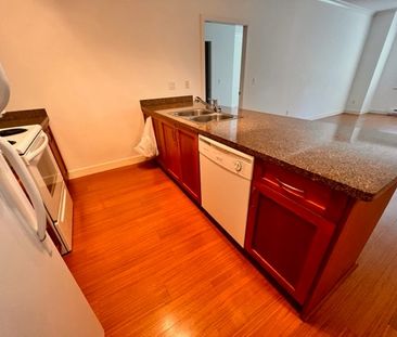 Prime Location Tsawwassen Central Lovely 2 Bed /2 Bath Condo - Photo 4