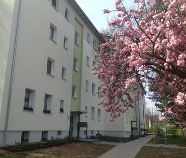 2-Zimmer-Wohnung mit Terrasse - Photo 1