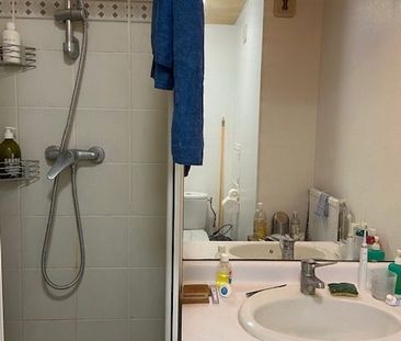 T2 Montigny-le-Bretonneux 52 m² - Photo 6