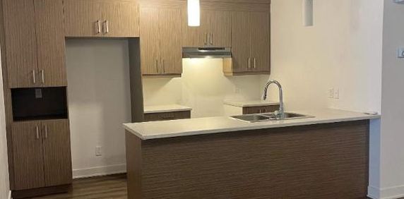 4 1/2 À LOUER-SAINT-CHARLES-BORROMÉE-APPARTEMENT À LOUER - Photo 2