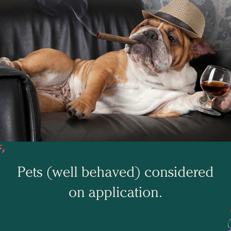 5 Harrow St, Thornton NSW 2322 - House For Rent | Domain - Photo 1