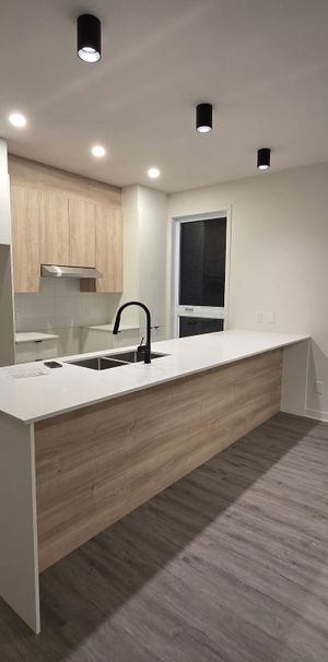 3 1/2 Sainte-Adèle - Photo 1