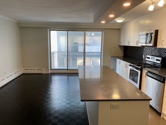 Beautifully renovated 1 Bedroom Bath Etobicoke Steps f - Photo 1