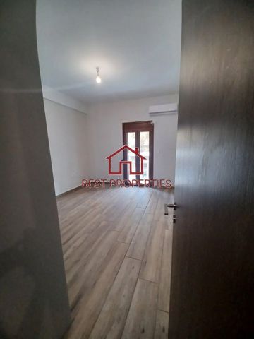 Διαμέρισμα για ενοικίαση Κερατσίνι - Photo 3