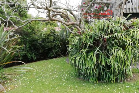 Family Feel - Photo 4