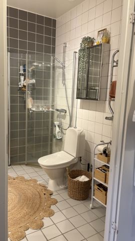 Lund - 2rok - 12mån - 10.925kr/mån - Foto 4