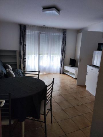 Location appartement 1 pièce 21.35 m² à Oyonnax (01100) - Photo 4