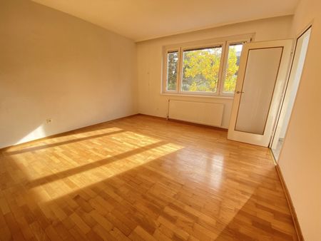 Südseitige 2 ZI Wohnung mit Balkon - 7 Minuten fußläufig von Schönbrunn und Hietzinger Platz - Photo 2