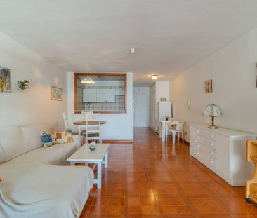 Estudio de alquiler en Avenida Cristobal Colon, 26, Zona Botánico - Photo 1