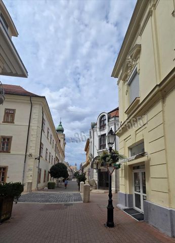 Kiadó felújított lakás - Pécs - Fotó 4