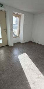 Location Appartement 2 pièces 26m² ST PAUL DE VARAX 01240 - Photo 4