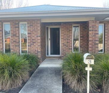 Modern & Low Maintenance - Photo 1