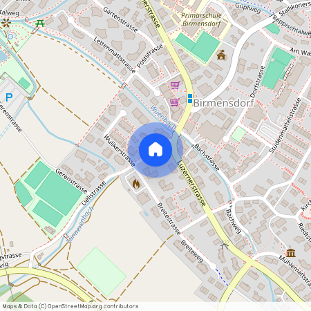 Lielistrasse 1, 8903, Birmensdorf