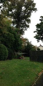 Firmount, 11 Antrim Road, Belfast, BT15 4HZ - Photo 4
