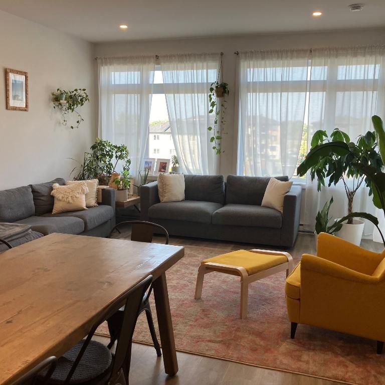 Superbe logement ensoleillé à louer JUIN ou JUILLET - Photo 1