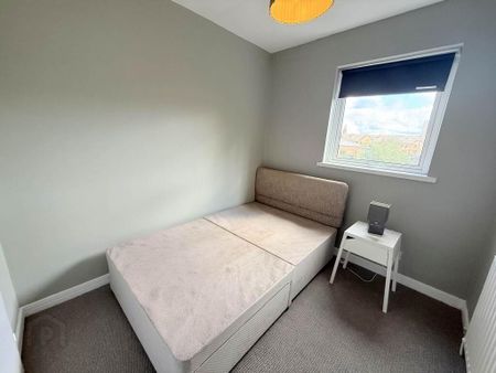 92 Maryville Street, Belfast, BT7 1AE - Photo 3