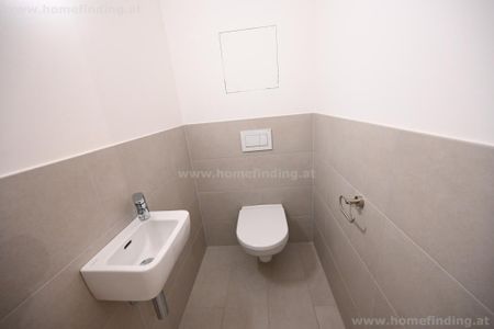 südseitige Gartenwohnung, 2 Zimmer, Garage möglich I befristet - Photo 5