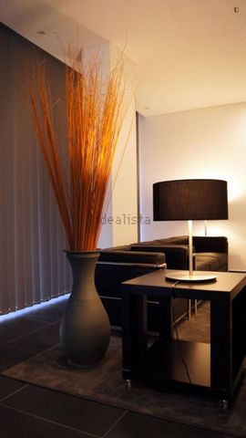 Apartamento em Constituição, Cedofeita - Santo Ildefonso - Sé - Miragaia - São Nicolau - Vitória - Photo 5