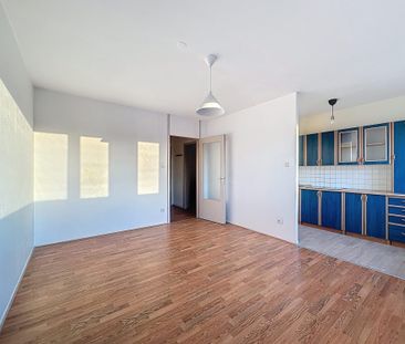 Location Appartement 1 pièce 30m² STRASBOURG 67100 - Photo 2