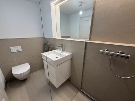 Einzigartige Altbauwohnung mit Blick auf den Rhein - Foto 2